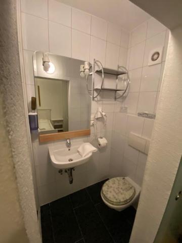 Hotel Wildschuetz Basic Altmünster Екстериор снимка