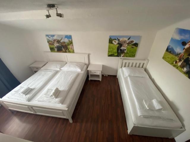 Hotel Wildschuetz Basic Altmünster Екстериор снимка
